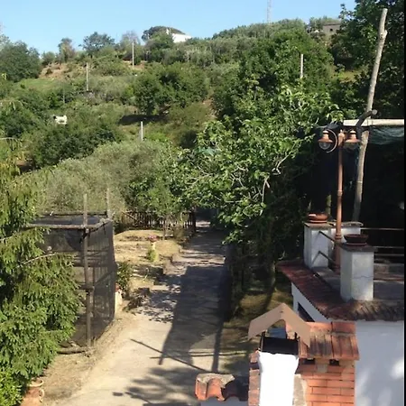 Villa Con Vista Sul Golfo Di Napoli E Isola Di Capri Massa Lubrense Exterior foto